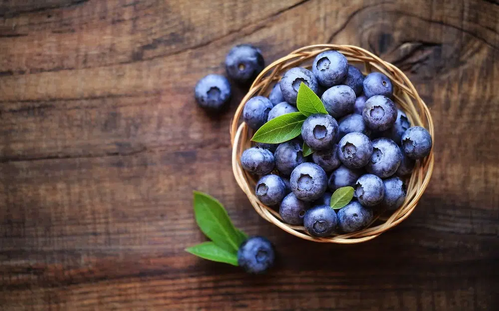 bienfaits et saison de cet arbre fruitier