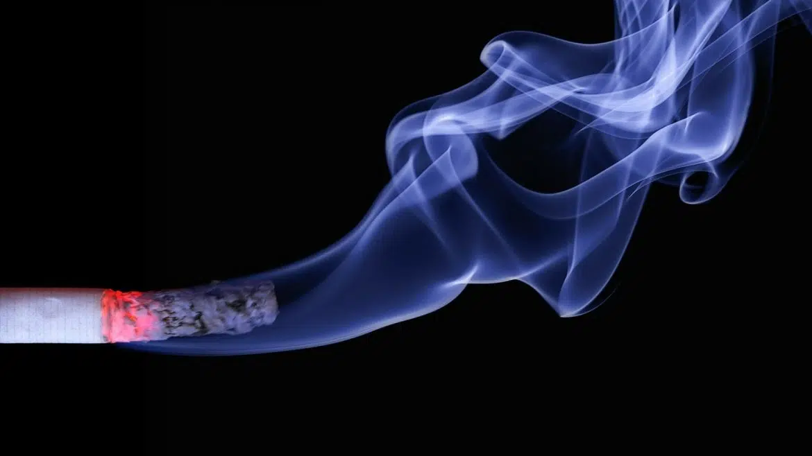 Quels sont les critères de choix d’un tube à cigarette ?